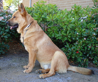 sonny von himmel sitting